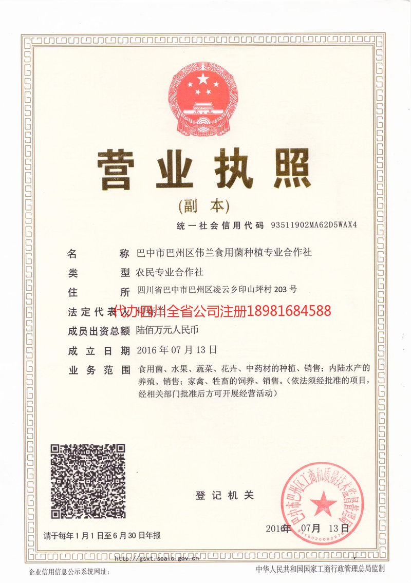 洮南洮南伟兰食用菌种植专业合作社